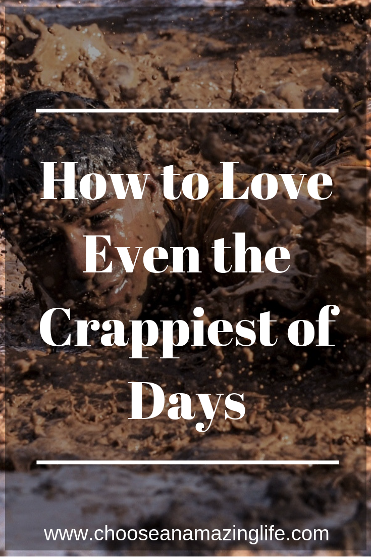 Some days are just hard and downright crappy. But that doesn't mean that we have to feel bad or that life stinks. There are ways to find joy even on the hardest, stinkiest of times! Click here to find out how!